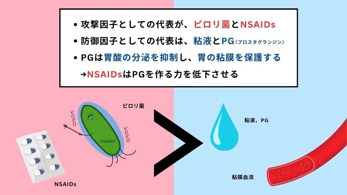【胃潰瘍とは？】症状や病態をイラストでわかりやすく解説！｜おがちゃん先生／解剖生理