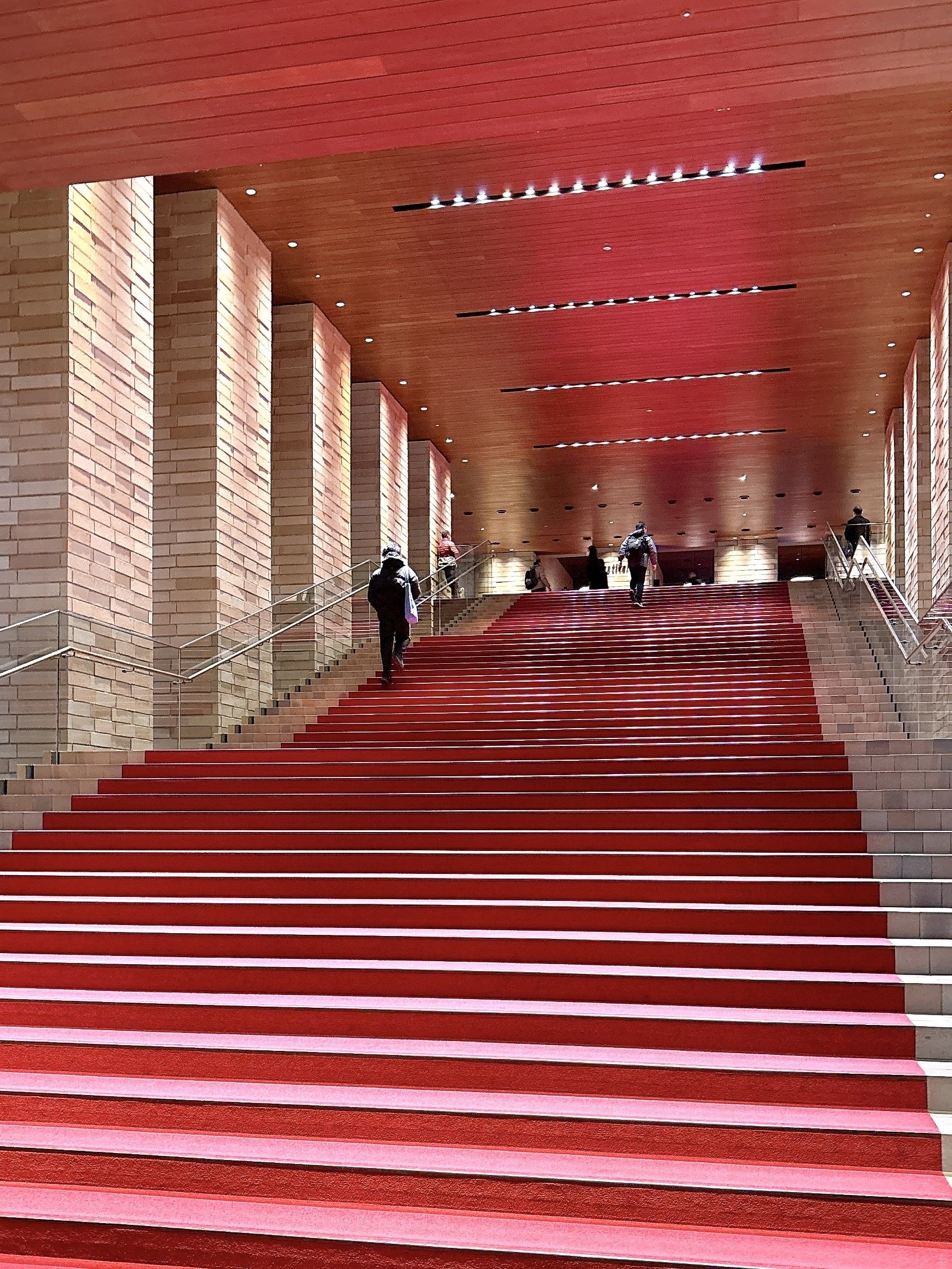 心がいっぱいに満ちた、大切な一晩の記憶 【Aimer Hall Tour 2024-25