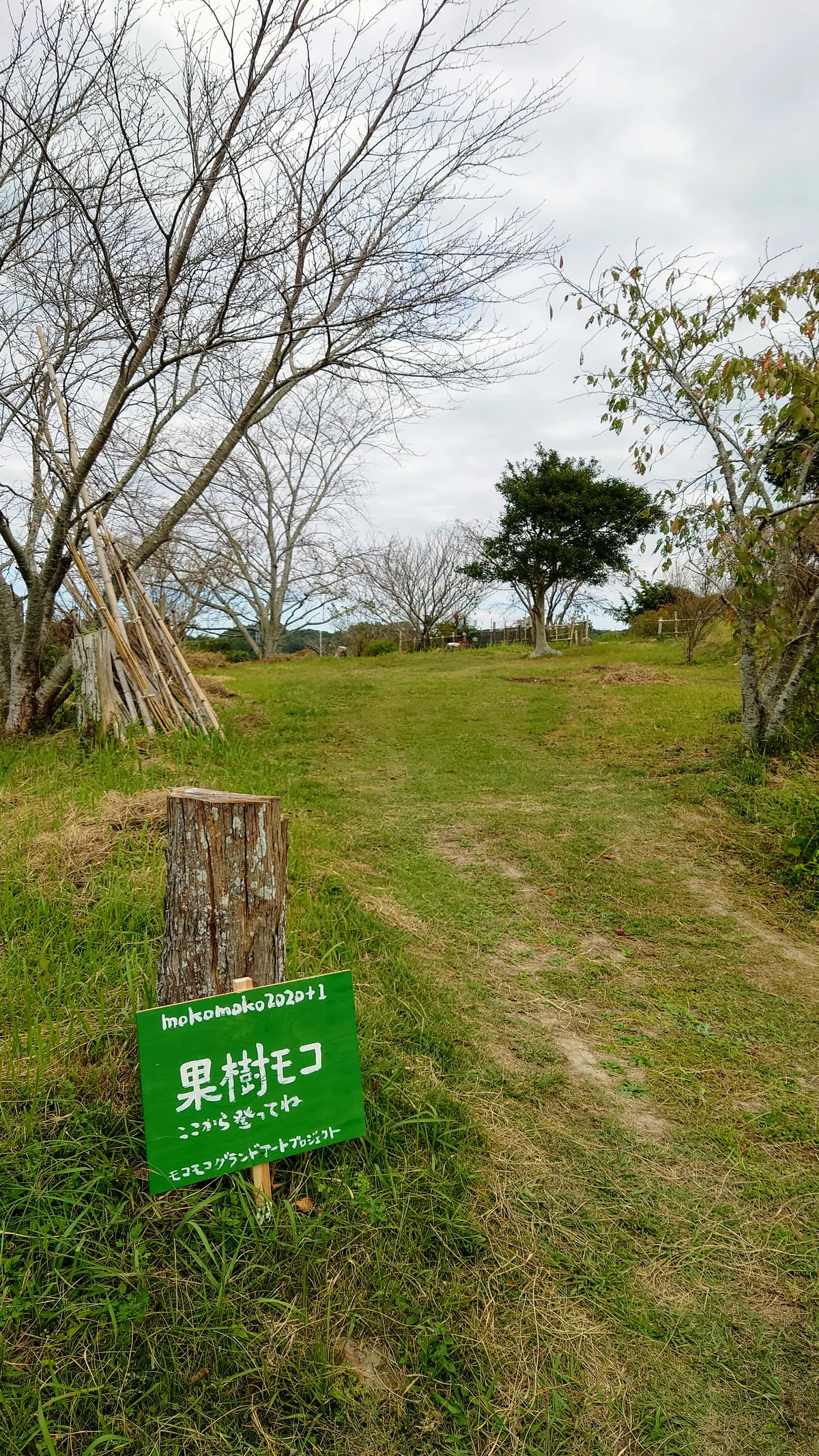 私の掛川100景 〜コンセプト株式会社・佐藤雄一のおすすめコース〜｜掛川市