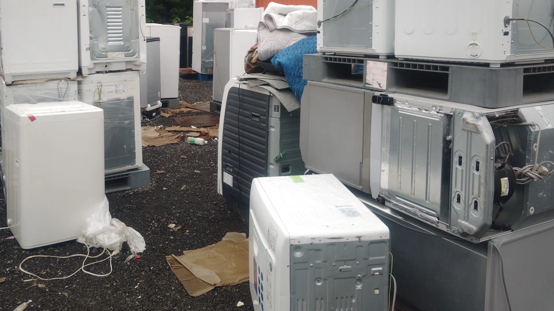 中古家電は大手よりも個人がおススメ？その洗濯機の本当の姿知ってます 