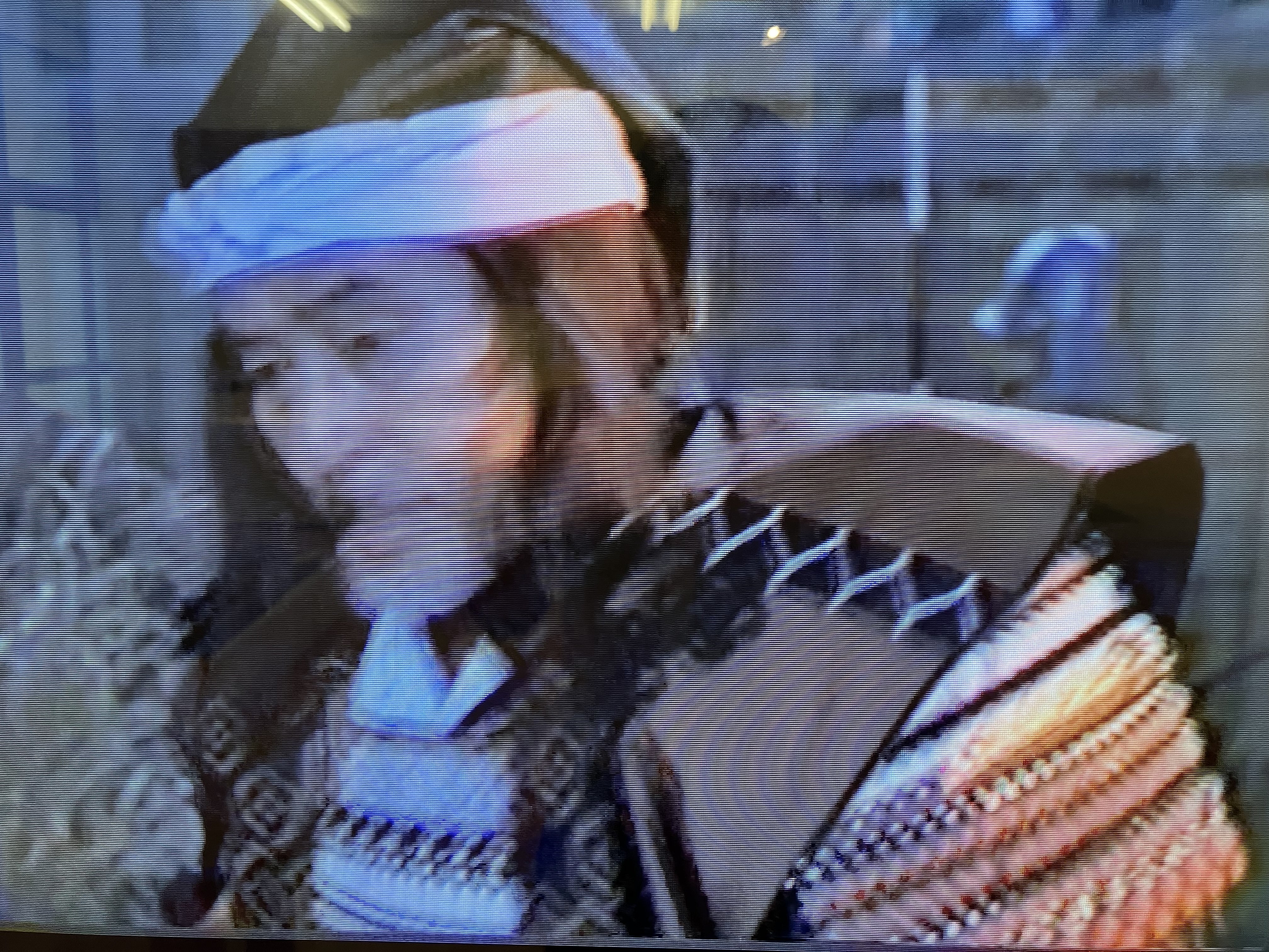 中世肥後の終焉〜 肥後国衆一揆最後の砦⚔️田中城跡|Desert Rose 中世肥後の終焉〜 肥後国衆一揆最後の砦⚔️田中城跡|Desert Rose