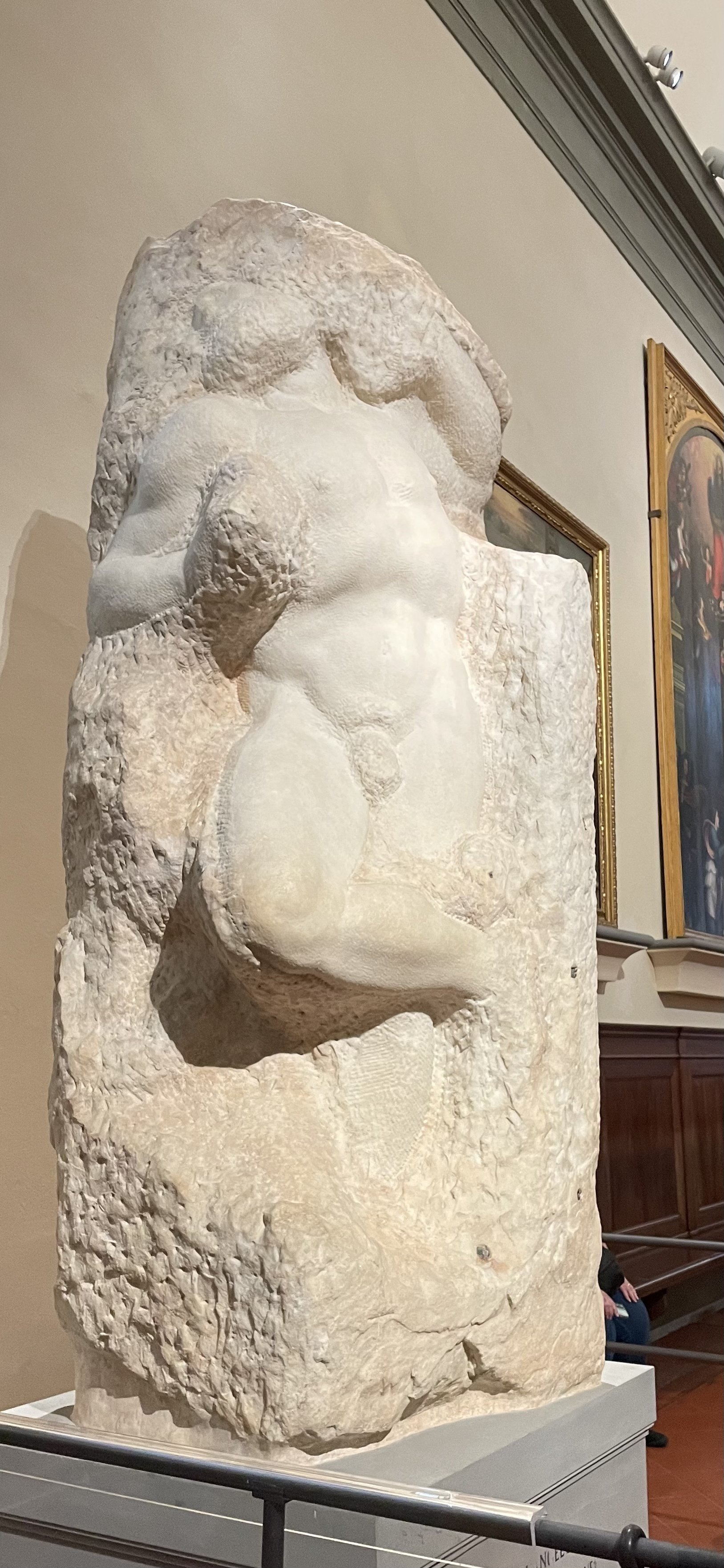 番外編】360度盛れてるダヴィデ｜虎郎