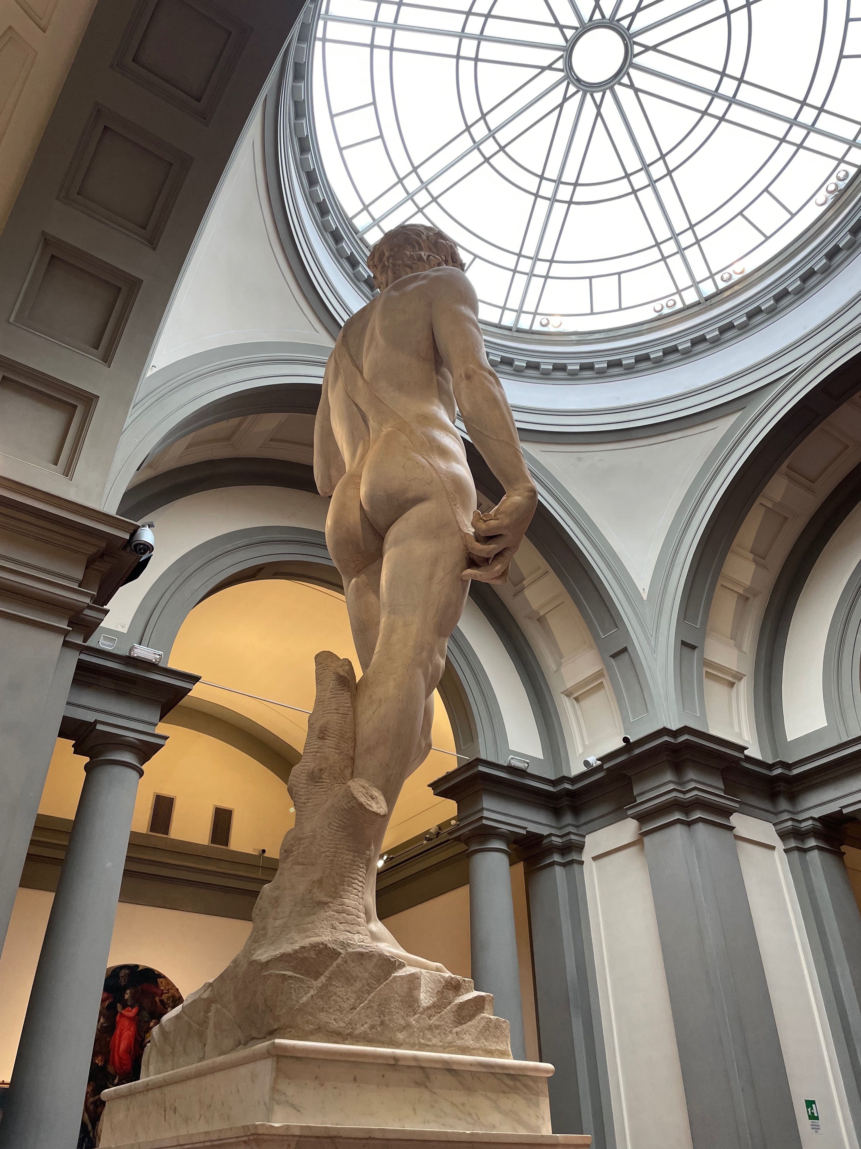 番外編】360度盛れてるダヴィデ｜虎郎