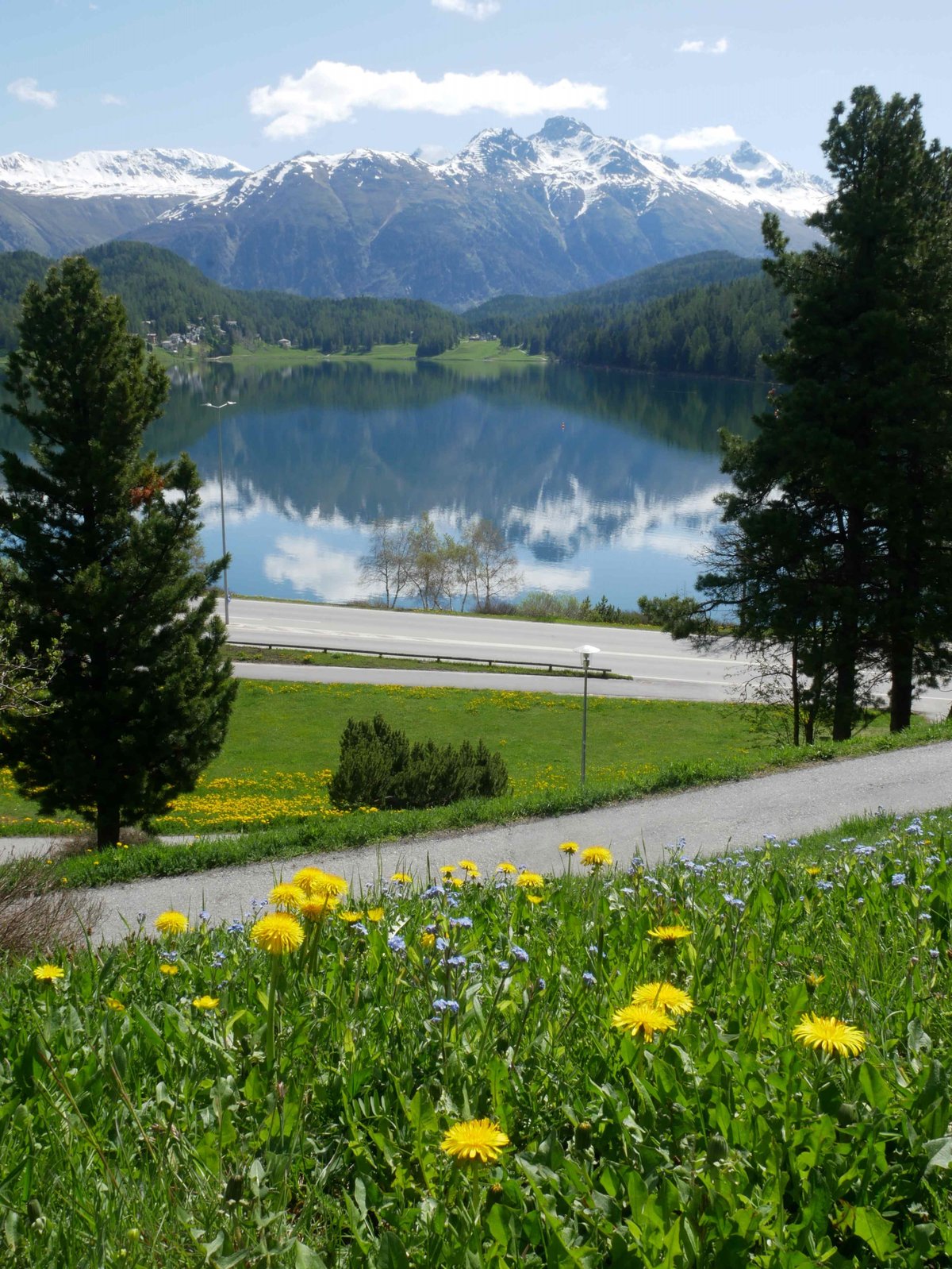 希少本　スイス　エンガディン　モンタベッラ　サンモリッツ　感動　氷河急行　古書 さよならサンモリッツ、またねオーバーエンガディン (2016スイス