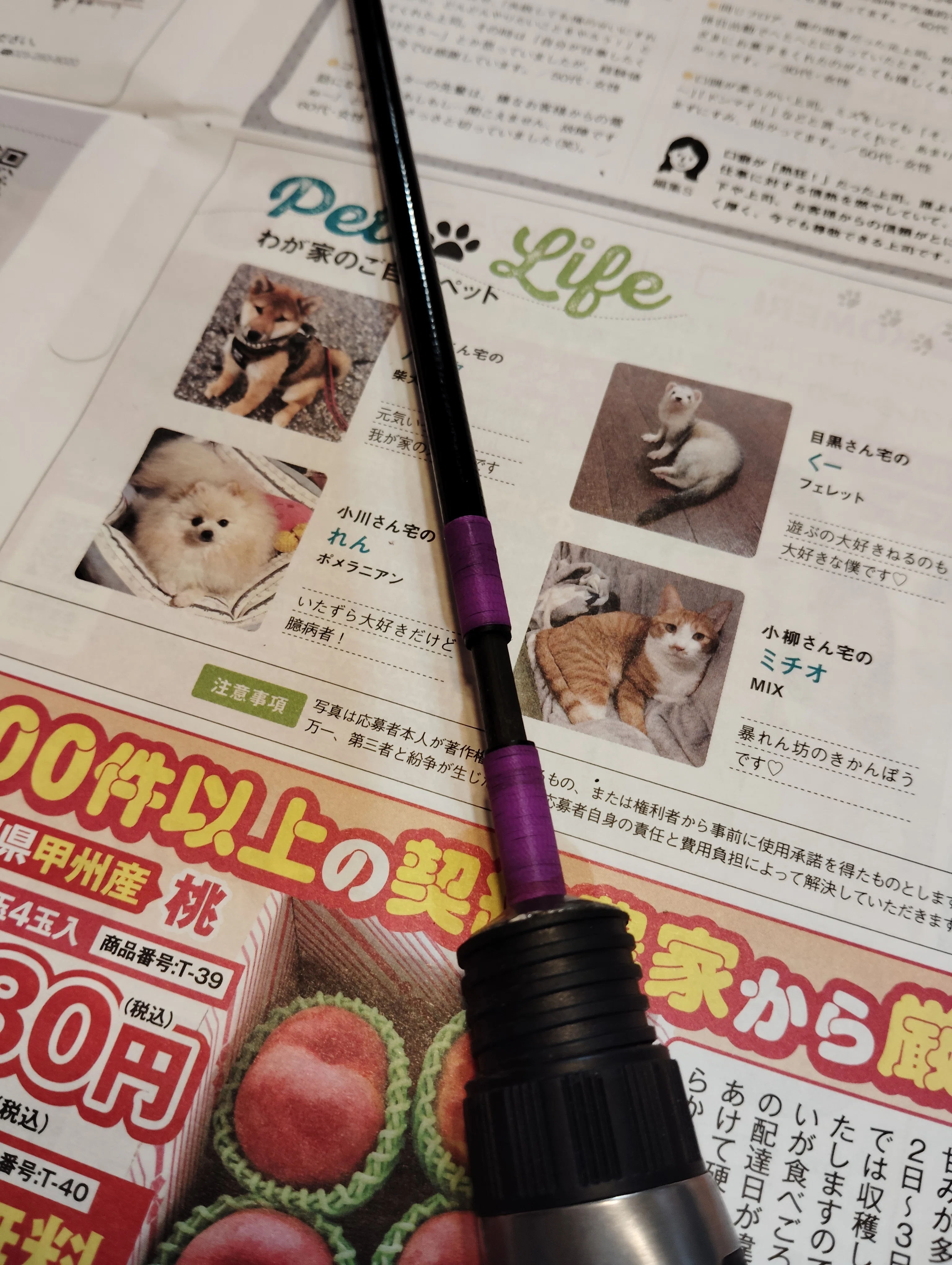 フィッシングショーで買ったブランクスで渓流ロッドを作る｜サウンド