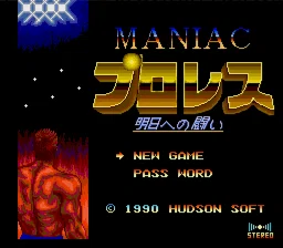 マニアックプロレス 明日への闘い｜saizo