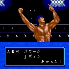 マニアック プロレス 明日への戦い Amazon | マニアック プロレス 明日への戦い 【PCエンジン】 | PCエンジン