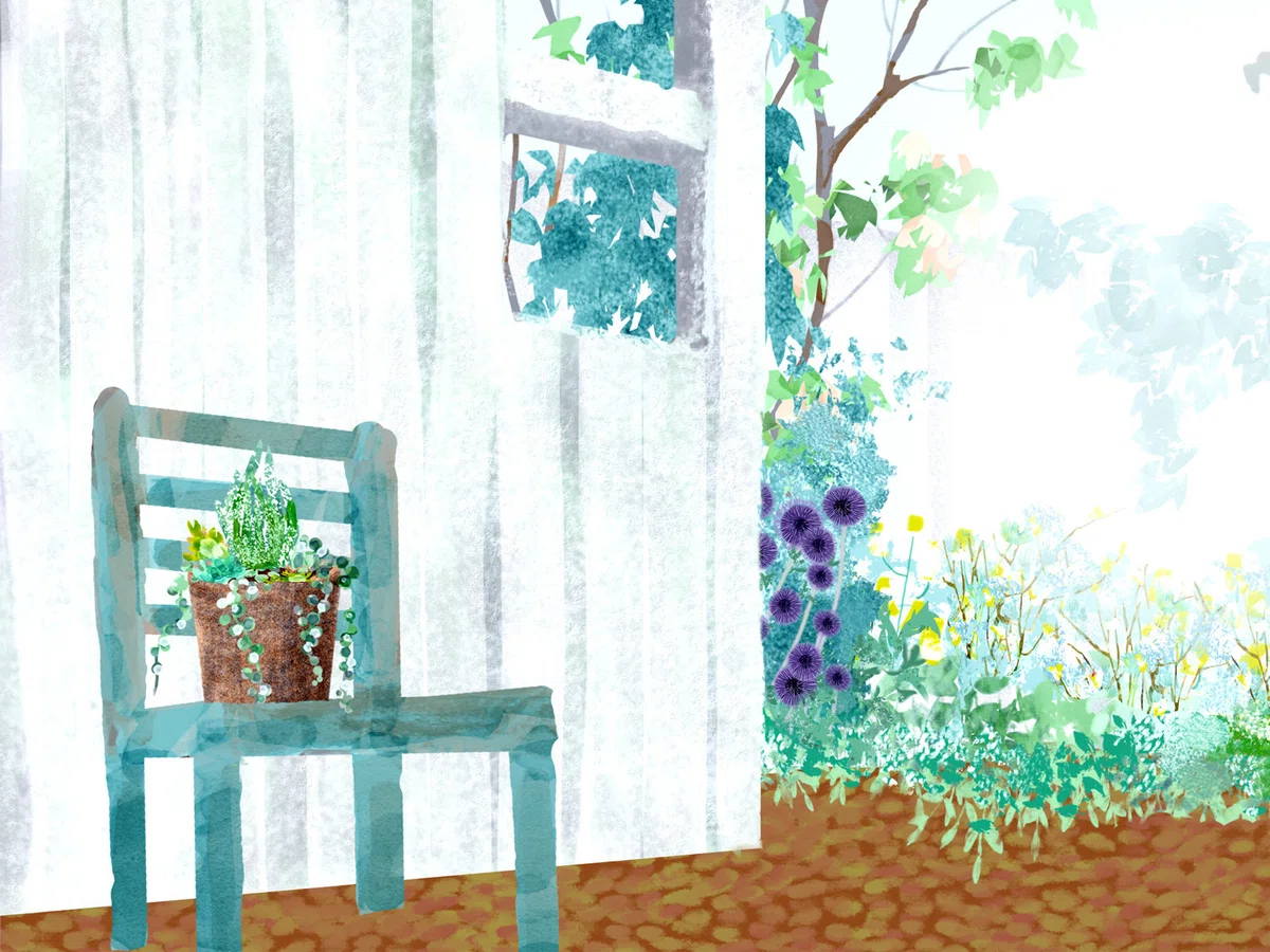 画像