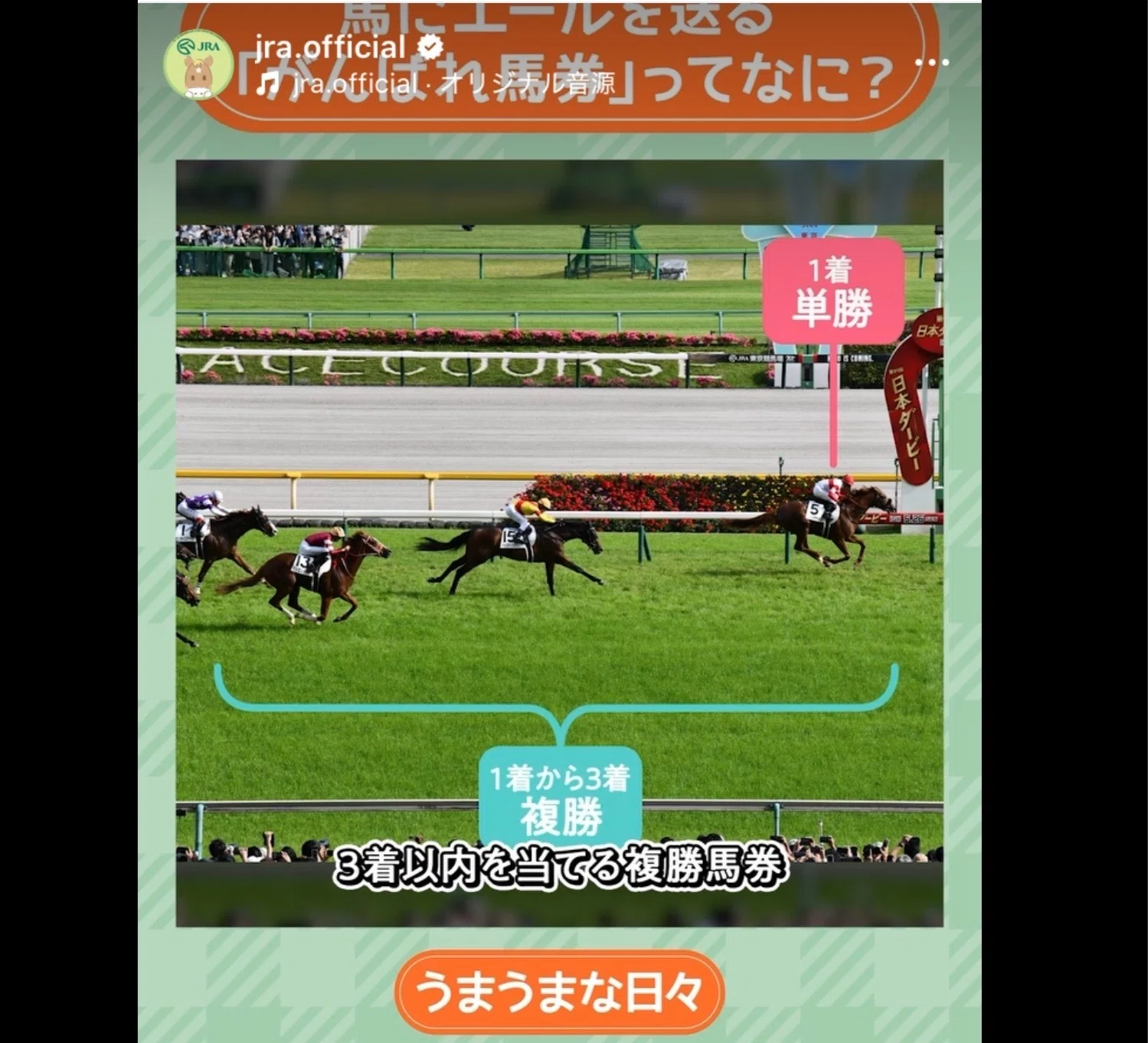 JRA］G1フェブラリーステークス2025お疲れ会＆使用済みサイン