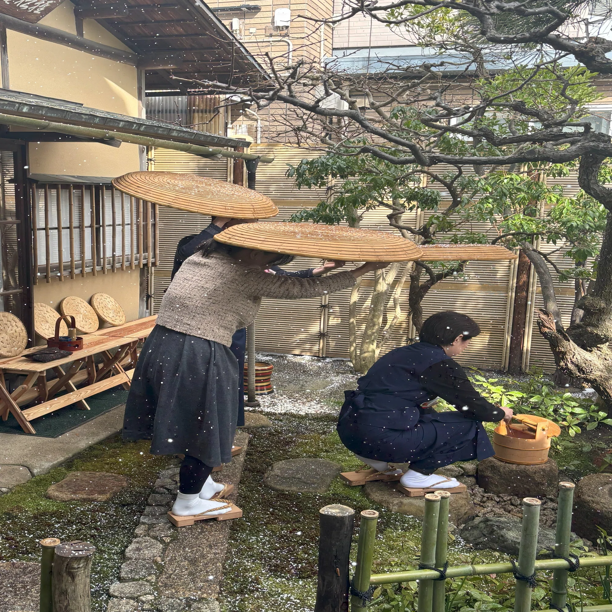 新潟茶事稽古～莨盆と露地傘～｜柚子と蜜柑