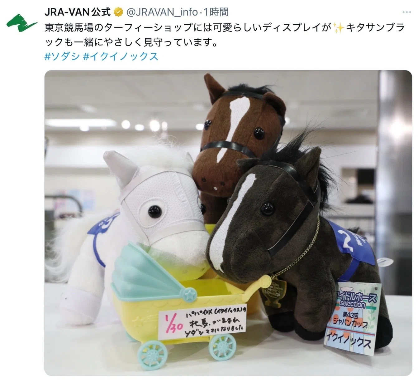 JRA］G1フェブラリーステークス2025お疲れ会＆使用済みサイン
