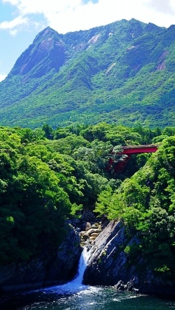 0297 【世界遺産】積雪する九州最高峰・亜熱帯の島「屋久島 0297 【世界遺産】積雪する九州最高峰・亜熱帯の島「屋久島