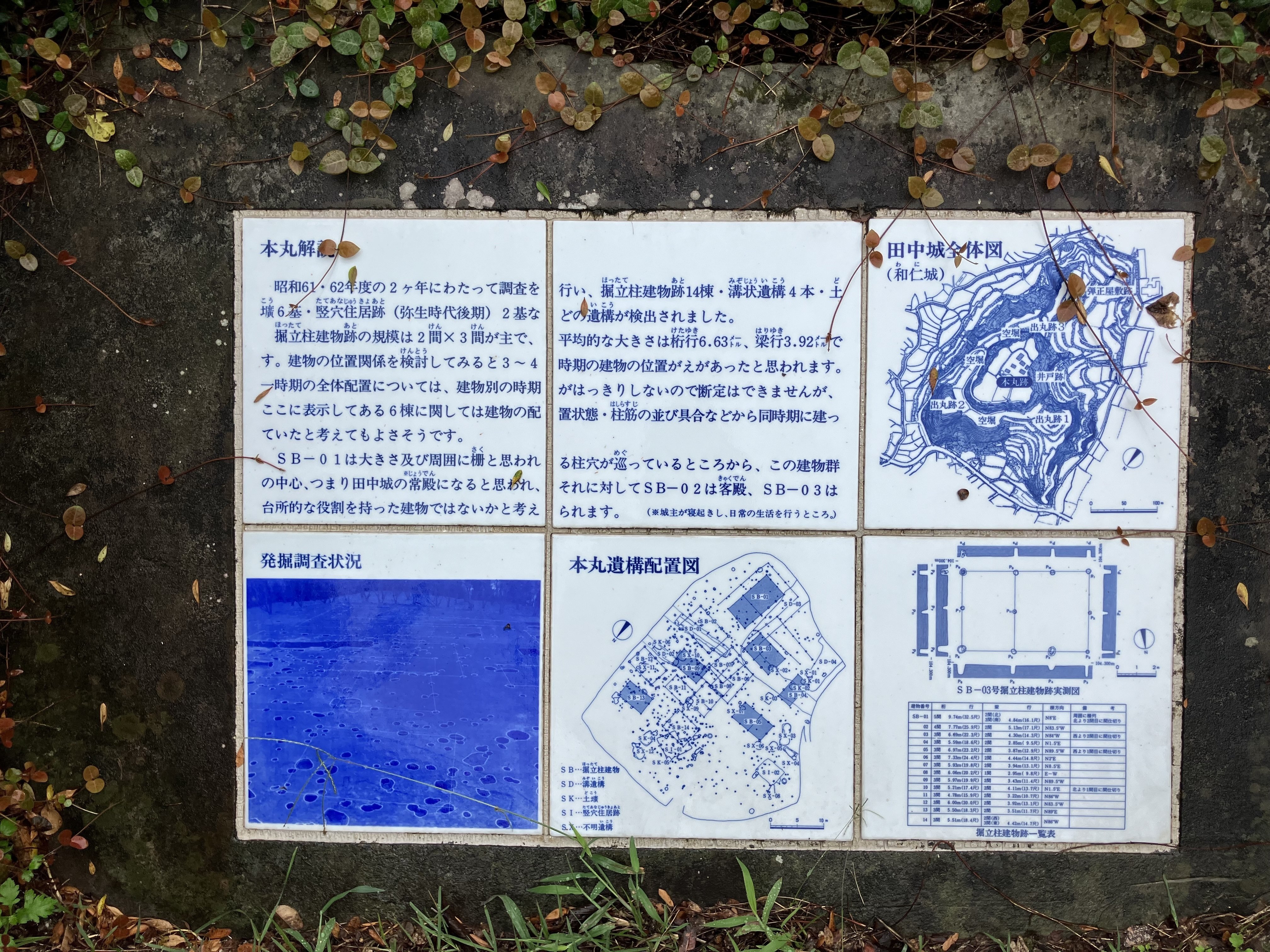 中世肥後の終焉〜 肥後国衆一揆最後の砦⚔️田中城跡|Desert Rose 中世肥後の終焉〜 肥後国衆一揆最後の砦⚔️田中城跡|Desert Rose