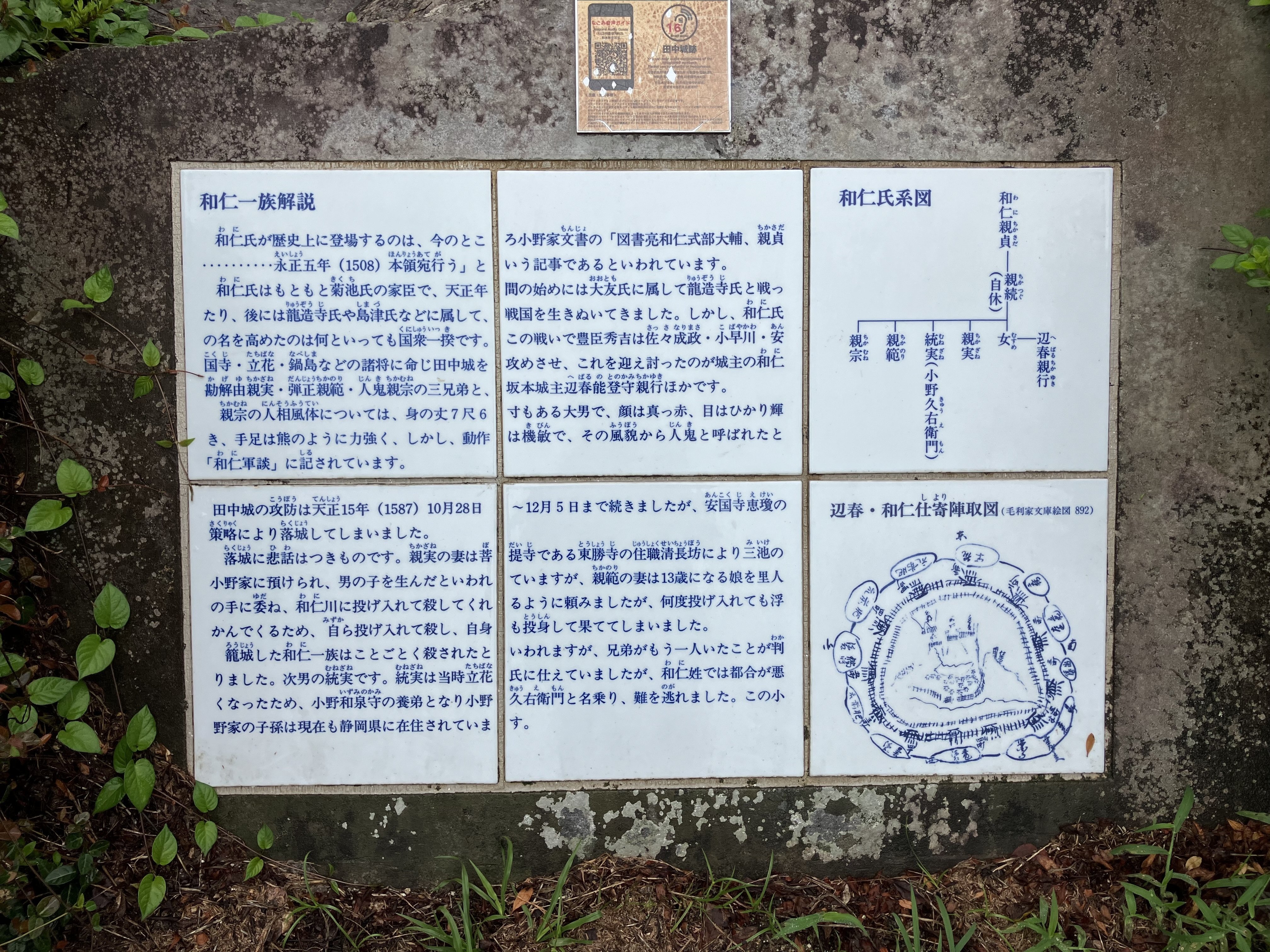 中世肥後の終焉〜 肥後国衆一揆最後の砦⚔️田中城跡|Desert Rose 中世肥後の終焉〜 肥後国衆一揆最後の砦⚔️田中城跡|Desert Rose