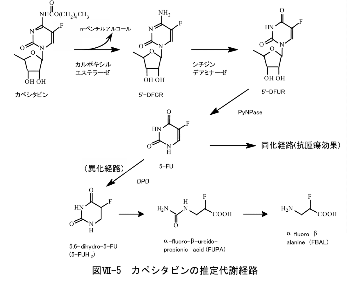 松廼屋｜論点解説 薬剤師国家試験対策ノート問 109-212-213