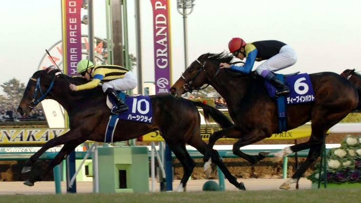 奇跡の英雄譚ーディープインパクト 前編｜しゅうご