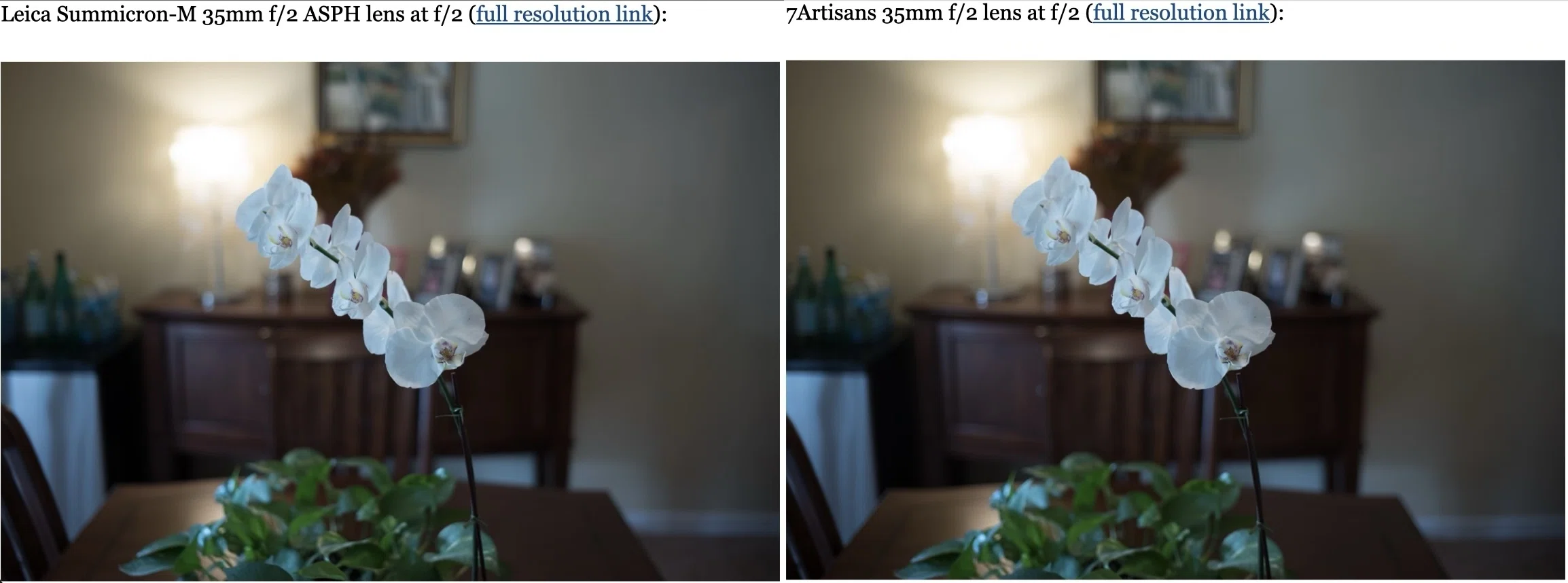7Artisans 35mm F2 （第1世代）の愉しさ｜絞り開放戦線