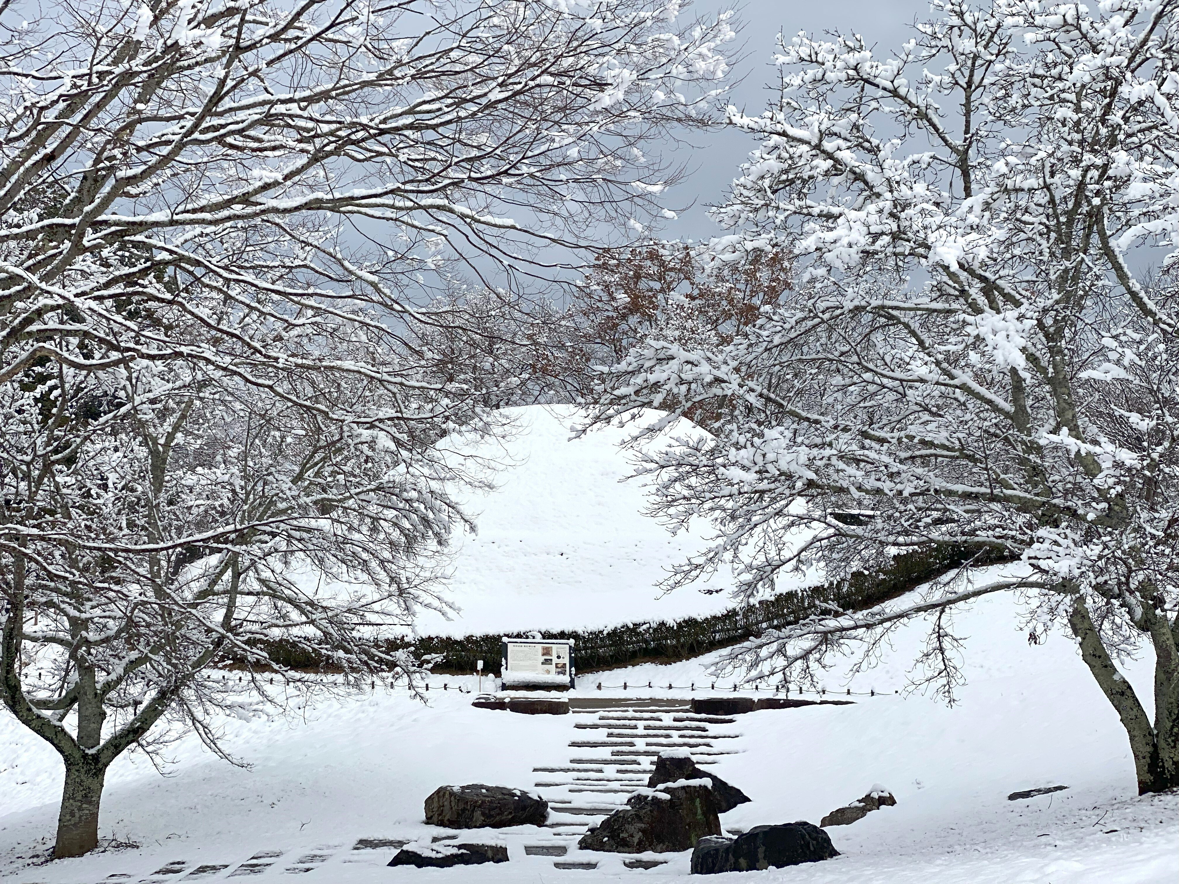 明日香村に雪が降りました。｜高坂正澄