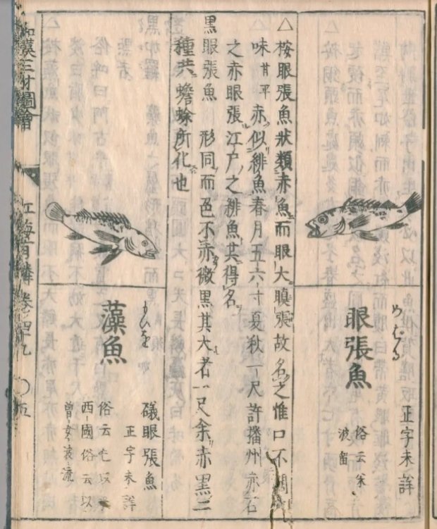 釣り人語源考 古文書の魚名2 随時更新｜decodecochibita