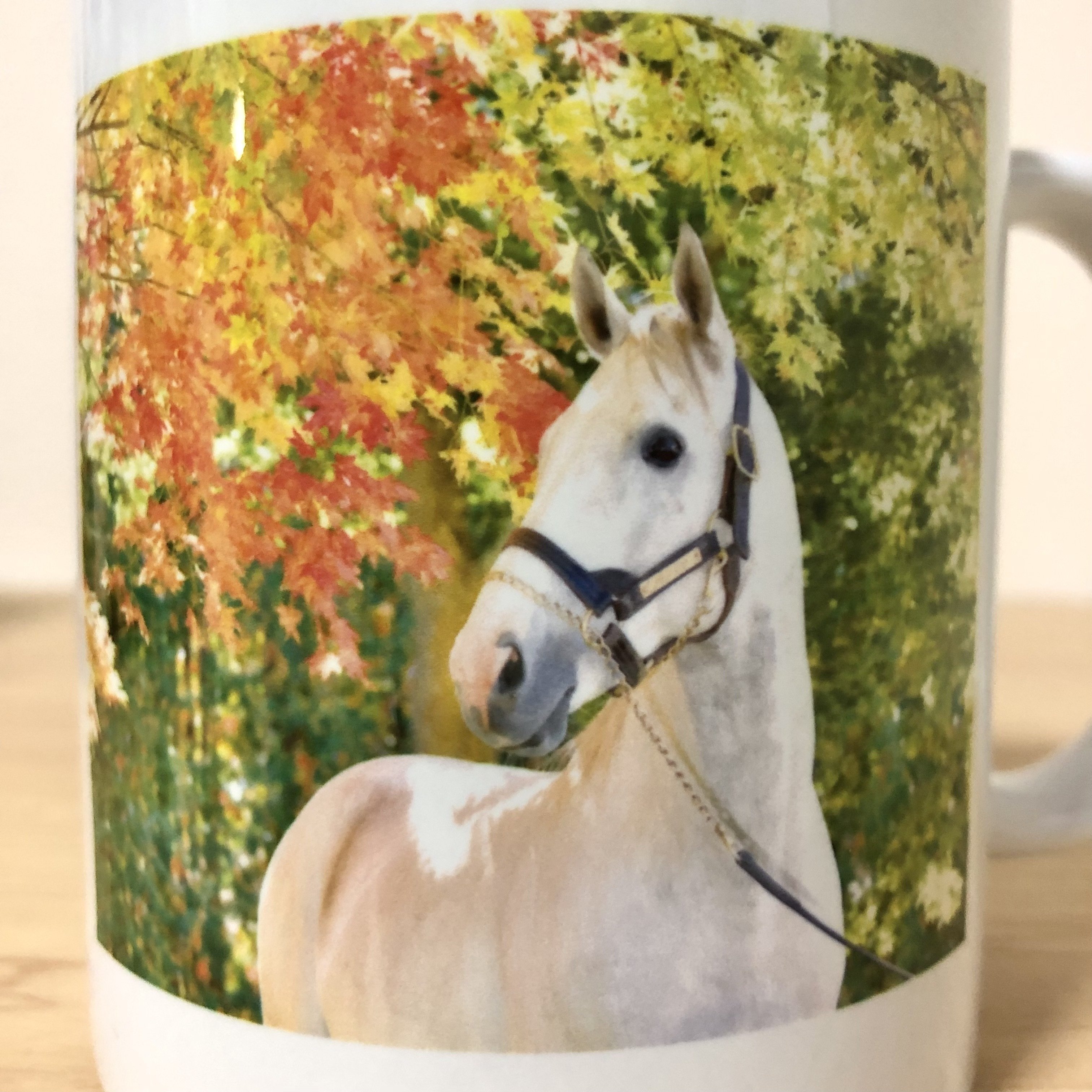 課題3：商品レビュー②】ゴルシ愛♡神々しくもかわいいゴルシが拝める