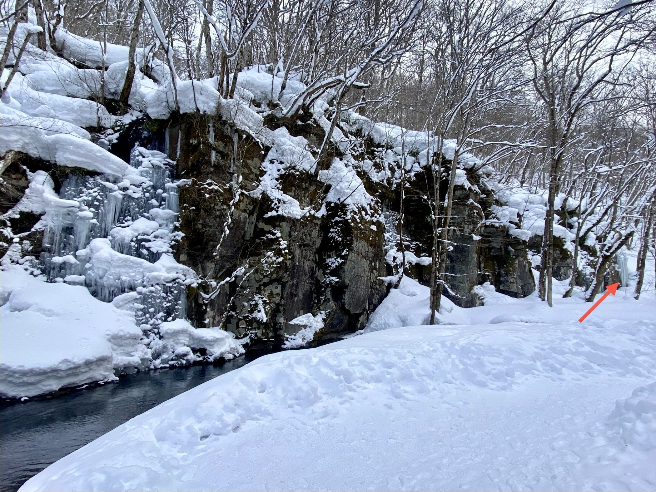 名無しの氷瀑 【奥入瀬 25/2/24】｜奥入瀬日和@星野リゾート