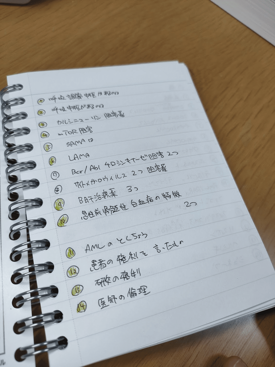 1ヶ月で合格したい薬剤師国家試験【過去問の解き方】｜なーな