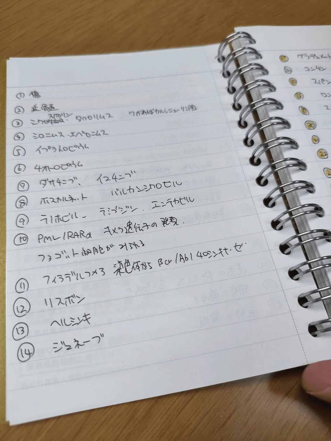 1ヶ月で合格したい薬剤師国家試験【過去問の解き方】｜なーな