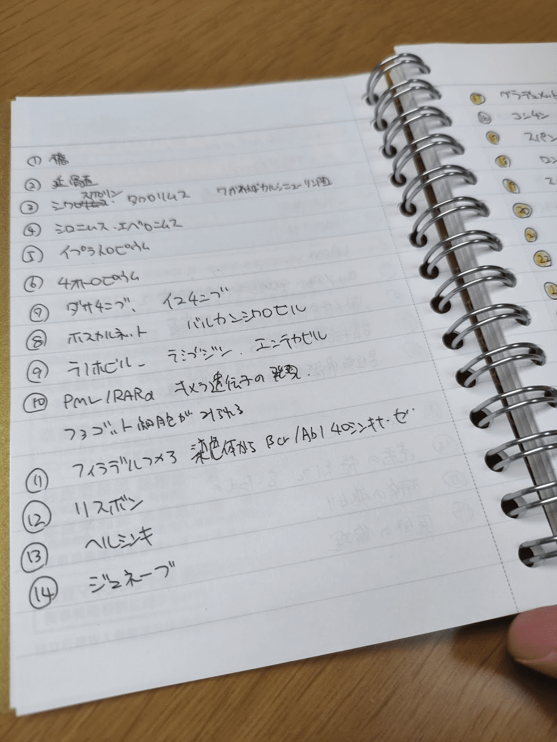 講義ノート　要点まとめ　薬剤師国家試験　(バラ売り可能) rectangle_large_type_2_e9aba9f