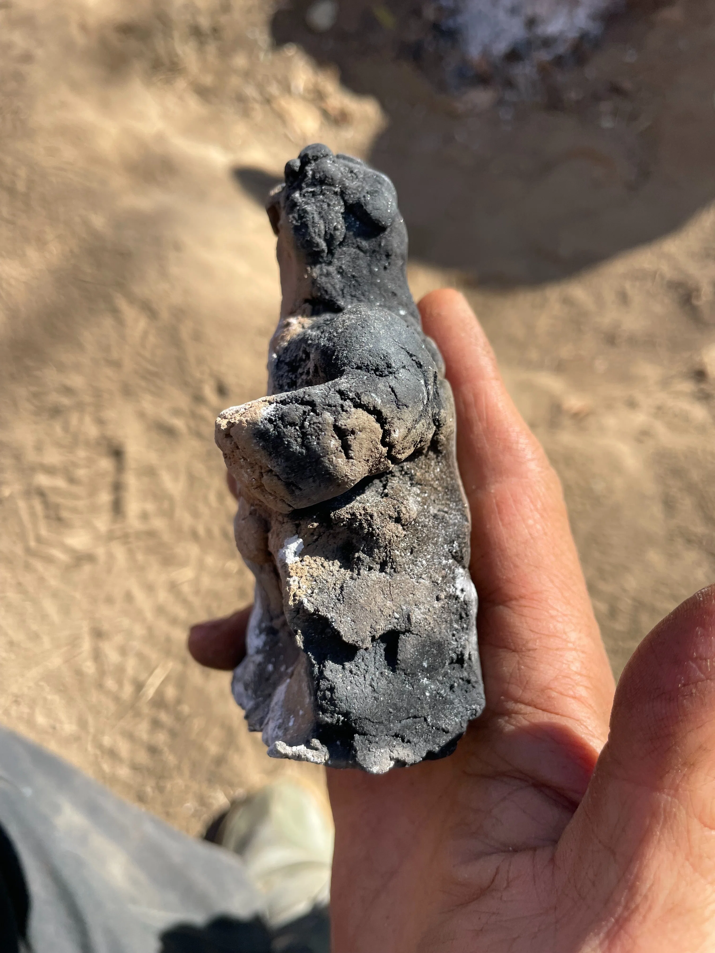 庭土器プロジェクトレポート！ − 庭で庭の粘土から、縄文土器と穴窯