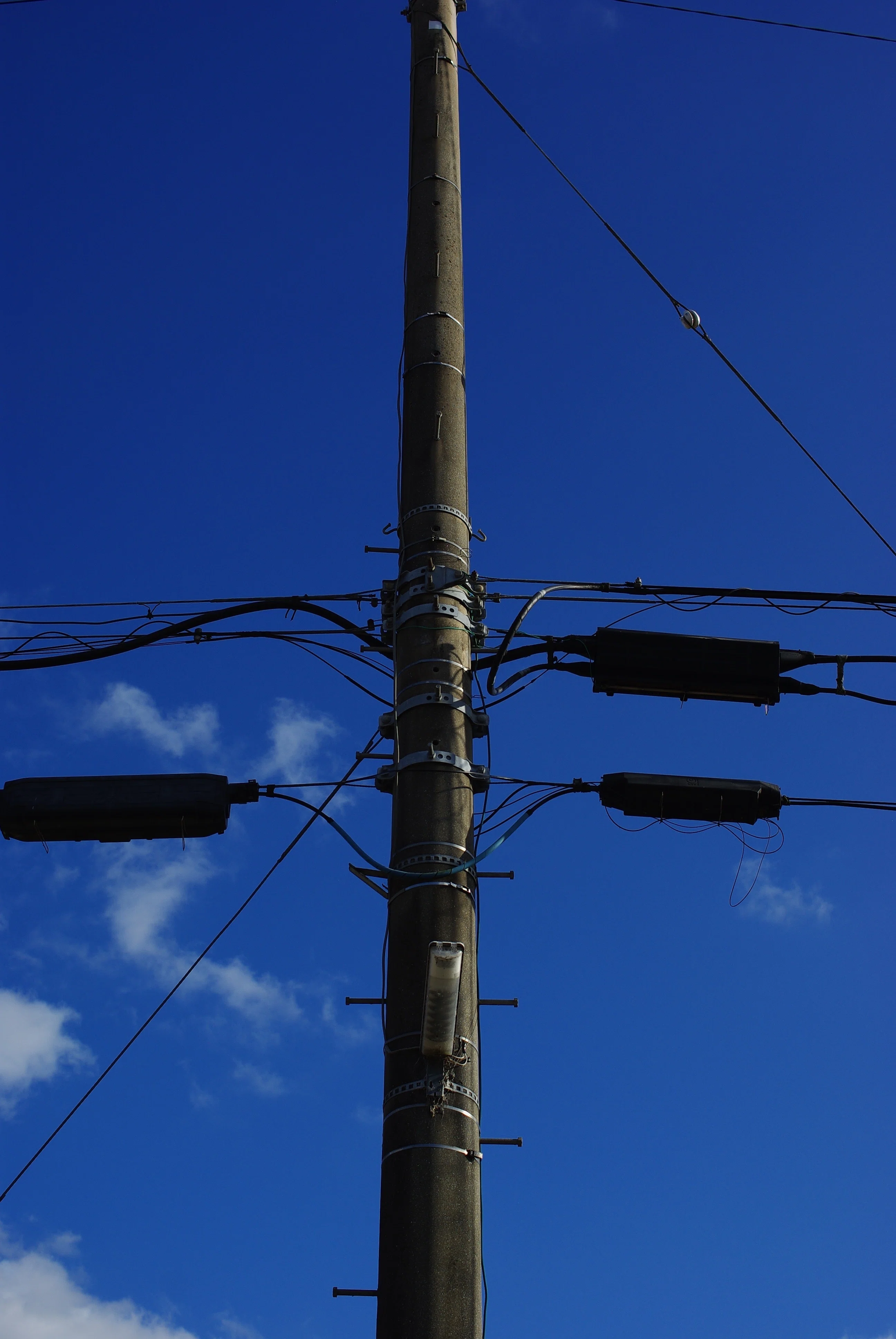 稀代の名機か PENTAX K200D｜鶏(とり)
