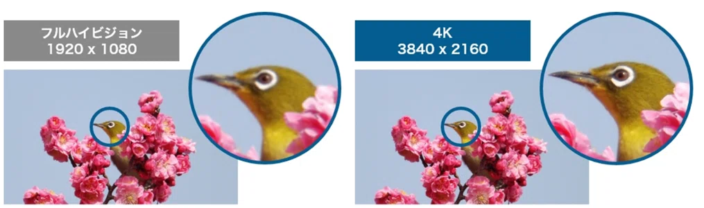 ç»å