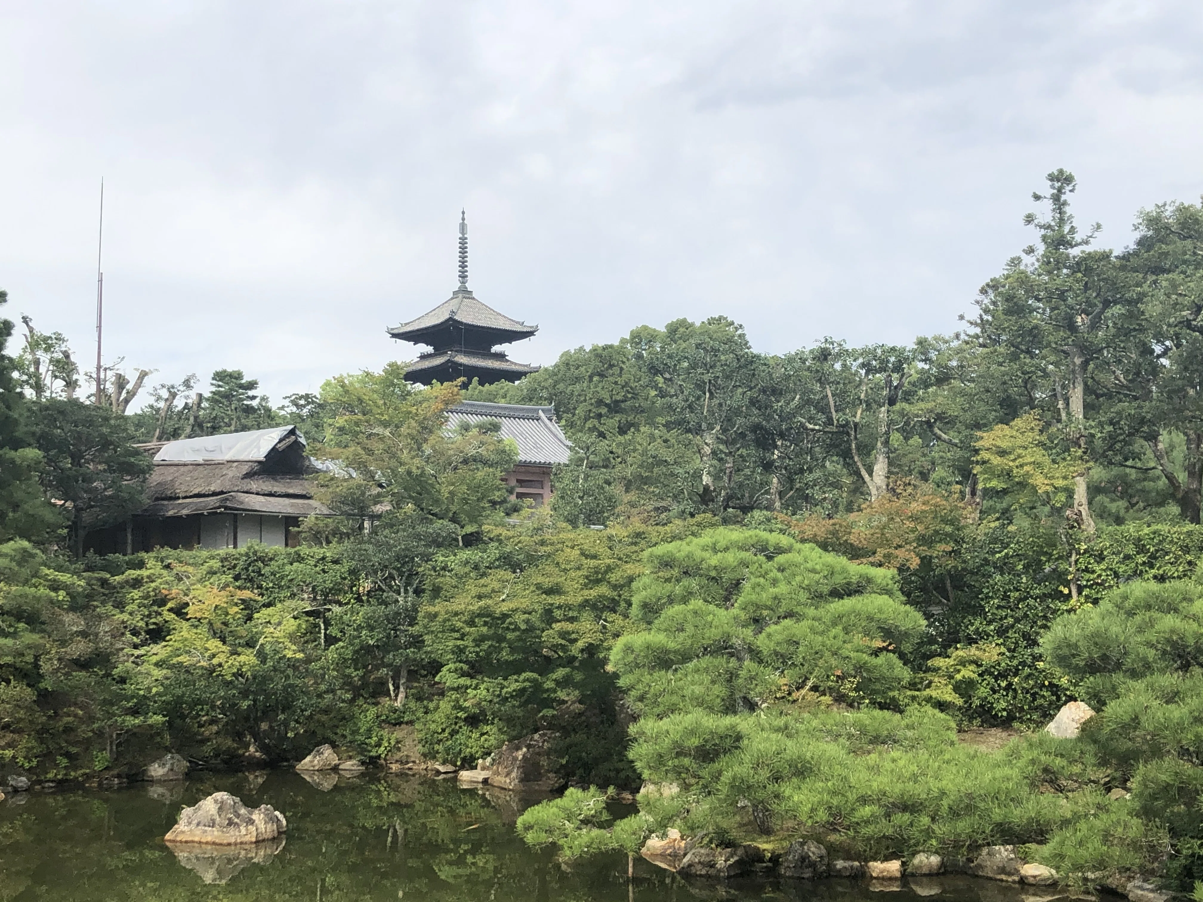 京都を歩こう 9 仁和寺｜主婦の肩書きだけあるる