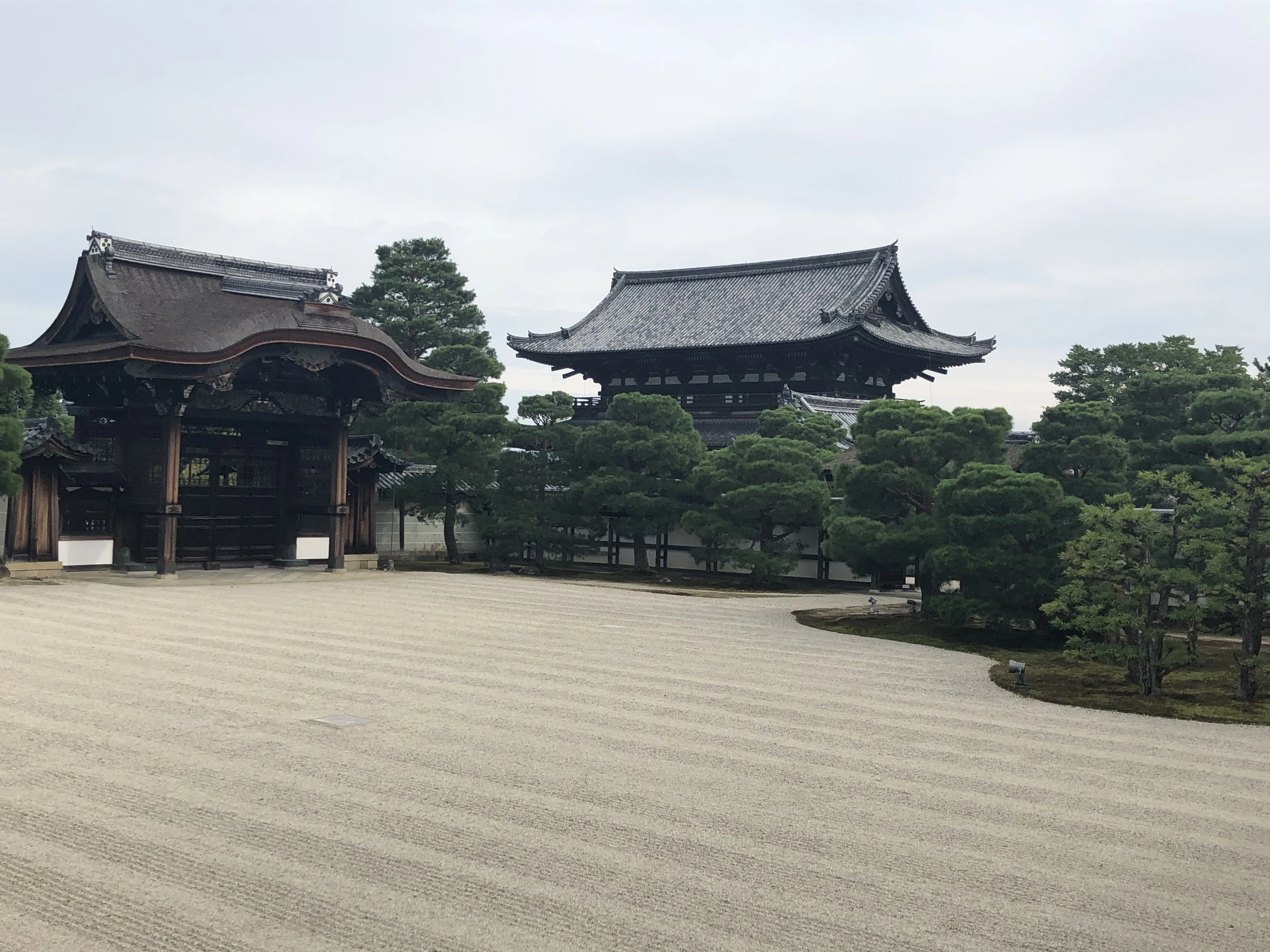 京都を歩こう 9 仁和寺｜主婦の肩書きだけあるる