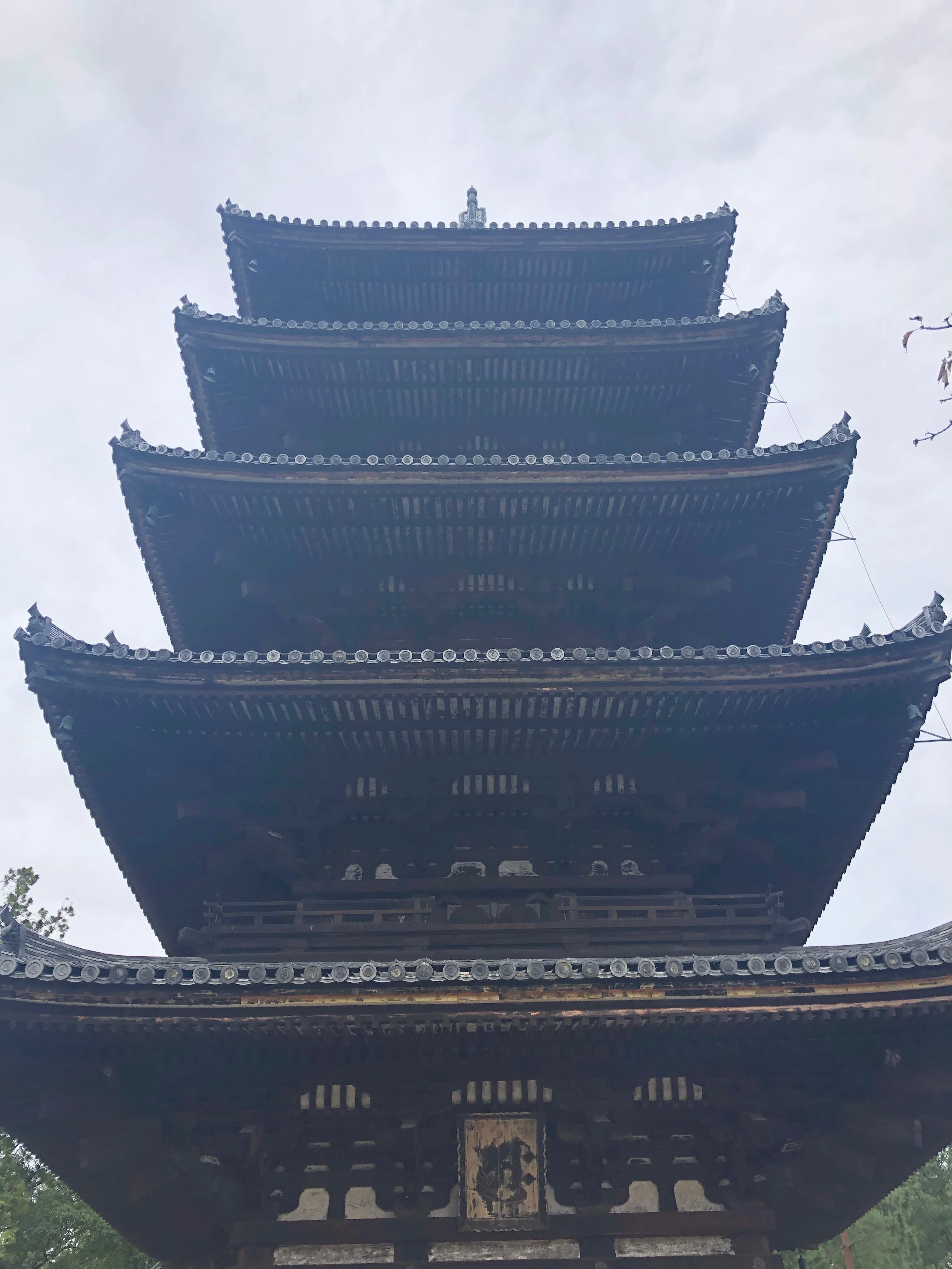 京都を歩こう 9 仁和寺｜主婦の肩書きだけあるる