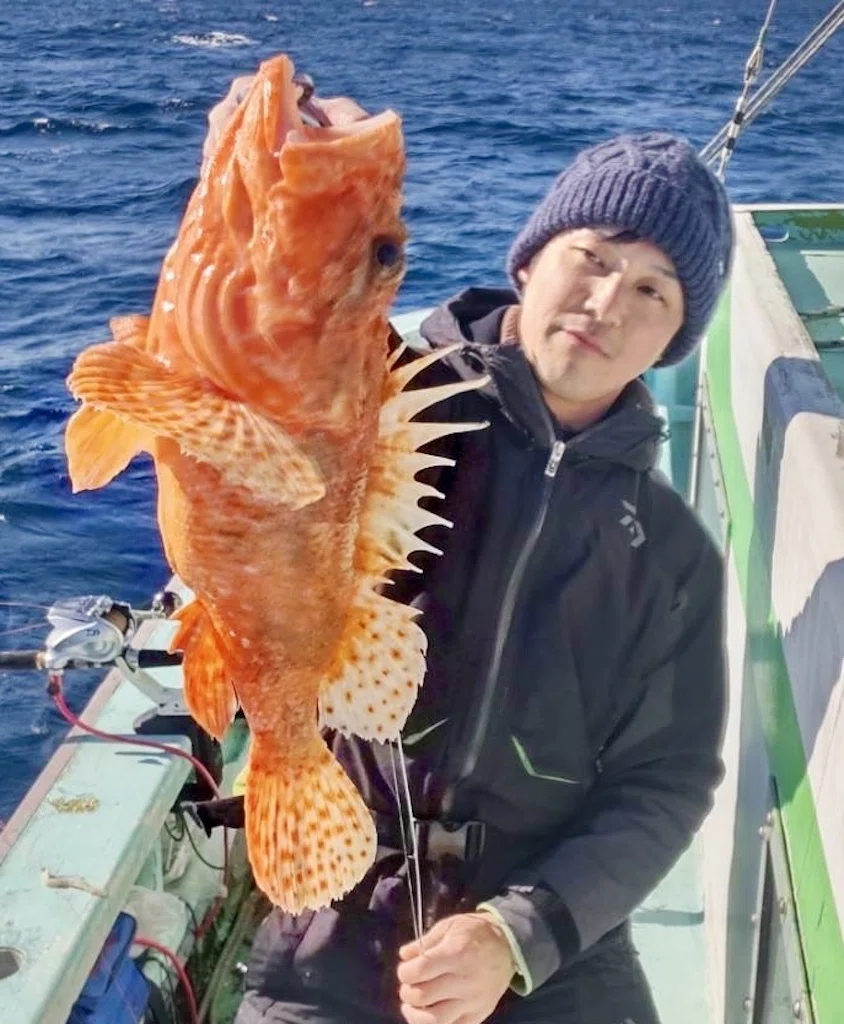 オニカサゴ】レア魚：ヒオドシゲット！オニカサ最大2.1kg！【真鯛