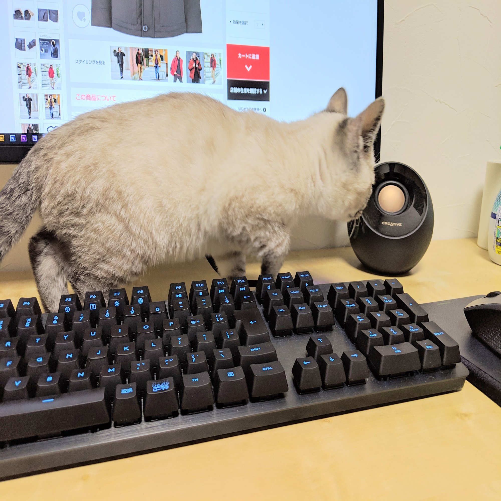 キーボードに沼っているはなし｜井上 雄太