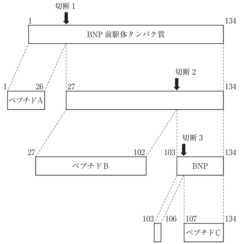第109回薬剤師国家試験対策参考書 物理・化学・生物・衛生・薬理・薬剤・法規・実 薬剤師国家試験対策必須問題集1 2025 / 薬学教育センター