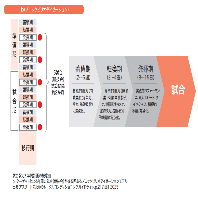 トレーニングサイクルとピーキング｜pon_roadto6star