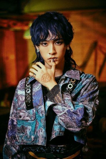 推しを10000字で語る～龍宮城編・武道館公演を経て～｜とかげまろぅ