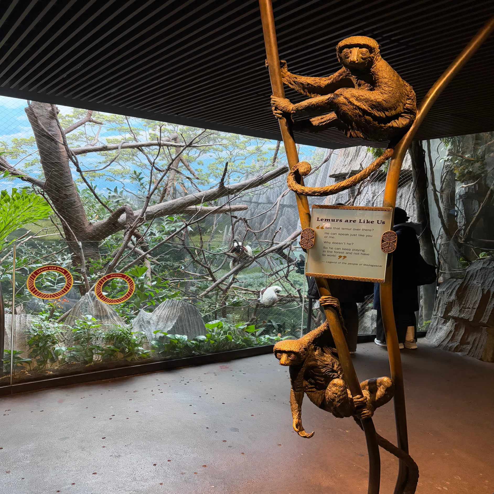 ニューヨークのBRONX ZOO｜あきたはるな