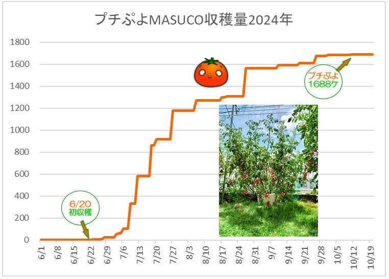 トマト様　確認画面 東レ トレビーノ カセッティ 交換用カートリッジ 3個入り MKC
