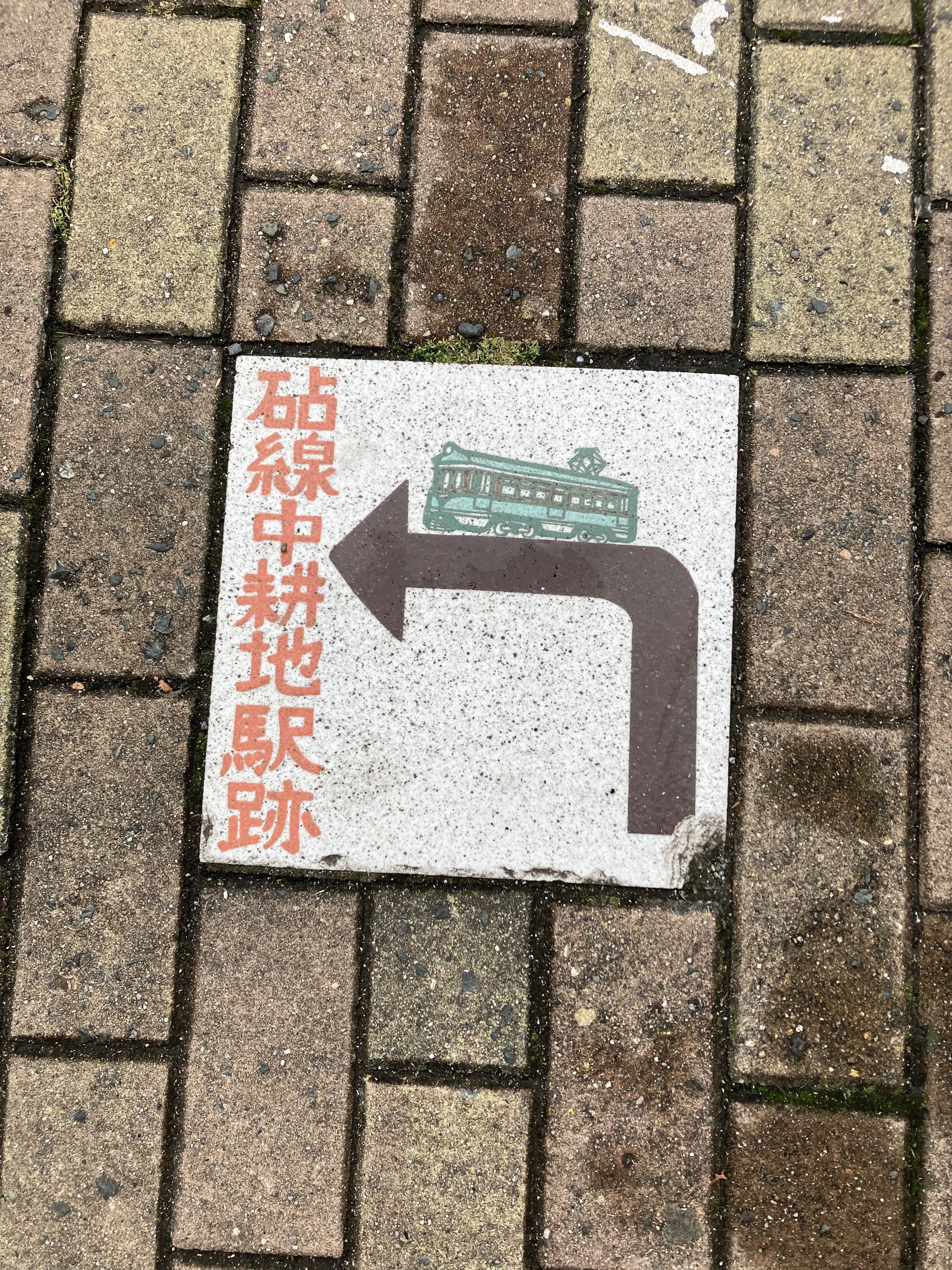 新品 送料無料 即決 希少 イタリア製 マウログリフォーニ 極上ウナギ革 