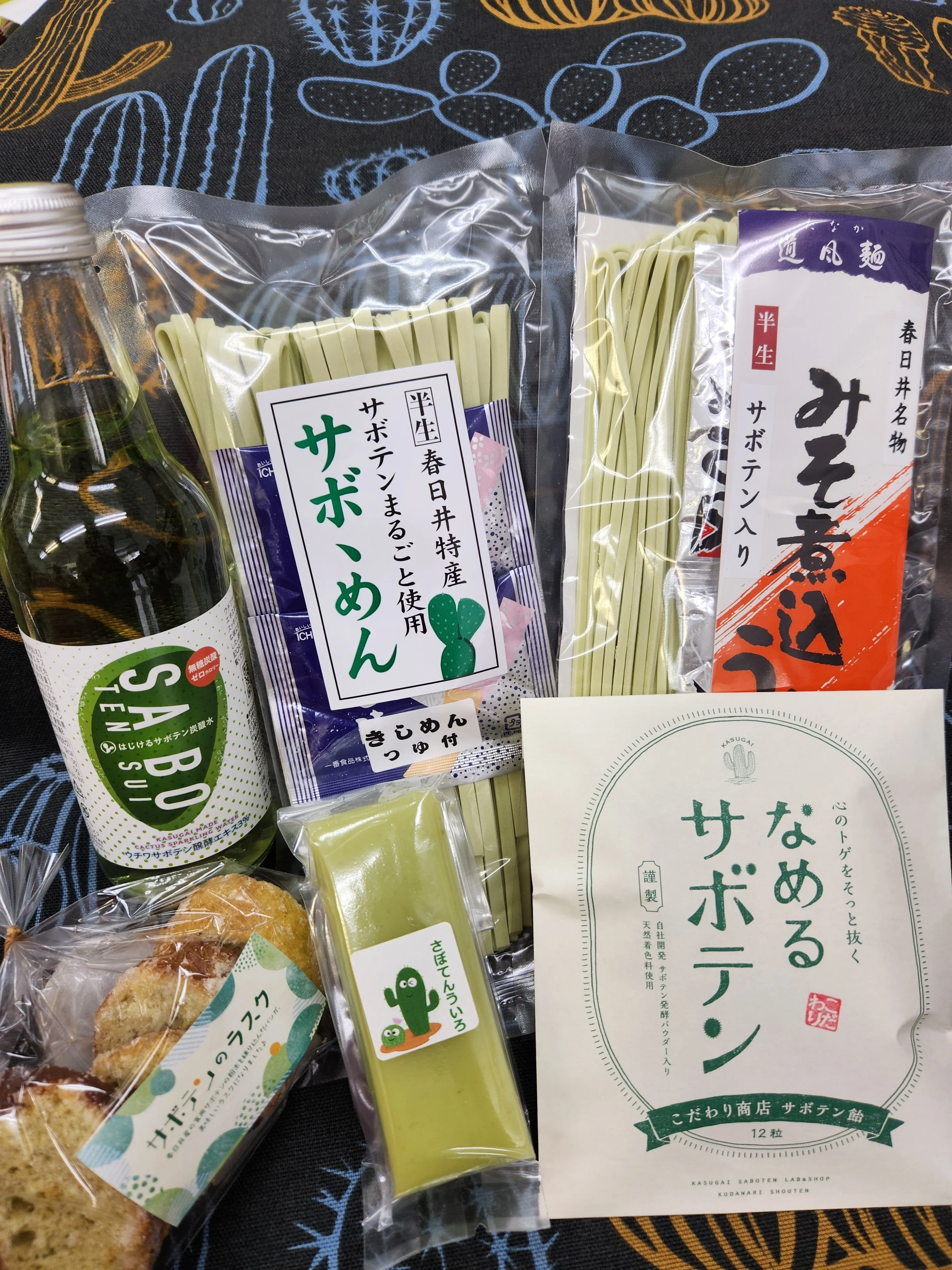 2025.3.9サボテンフォーラム&フェアに出店します❗🌵｜春日井サボテン