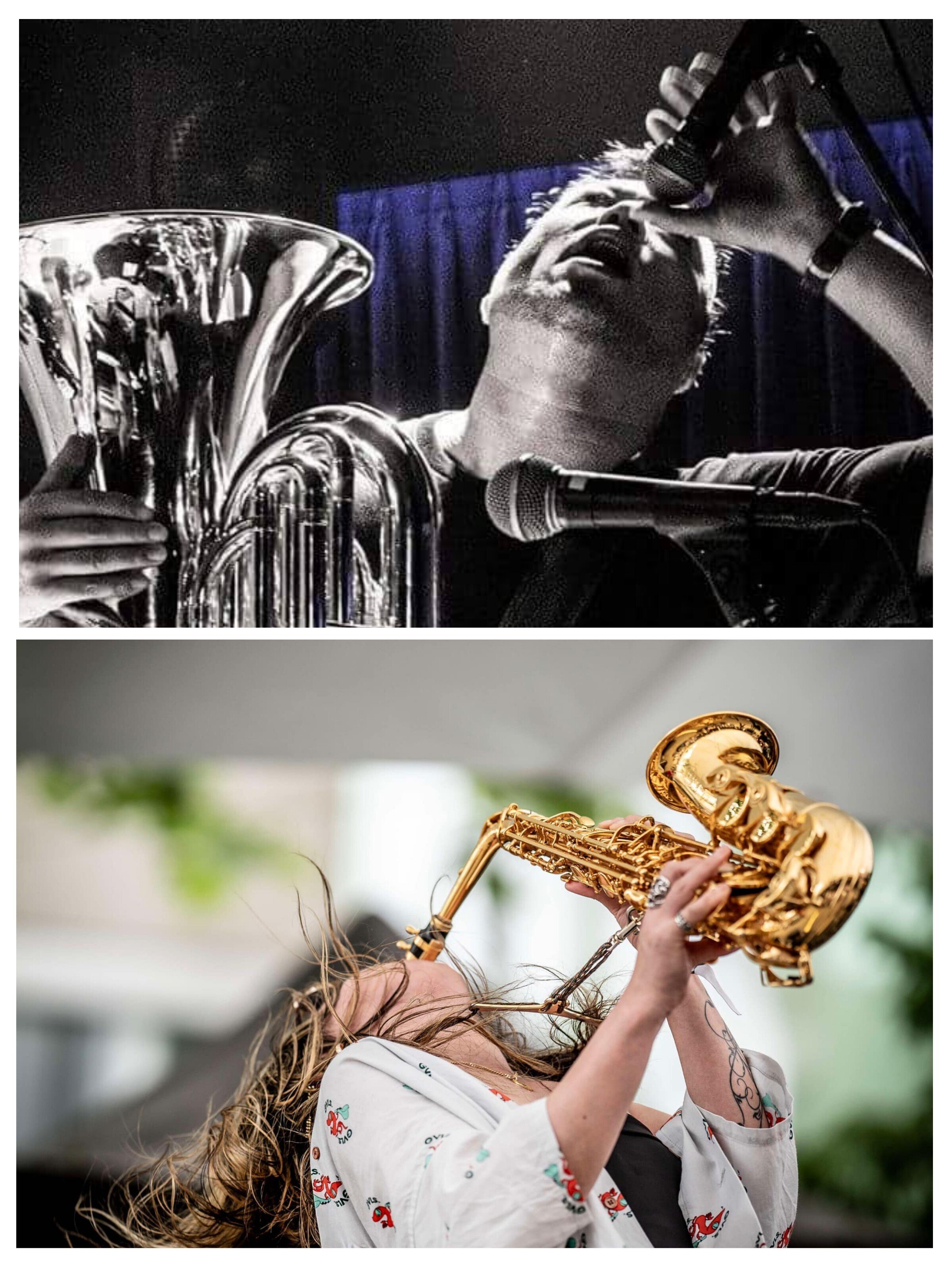 高岡大祐 2025年3月 ライブ情報|Daysuke Takaoka(blowbass) 高岡大祐 2025年3月 ライブ情報|Daysuke Takaoka(blowbass)