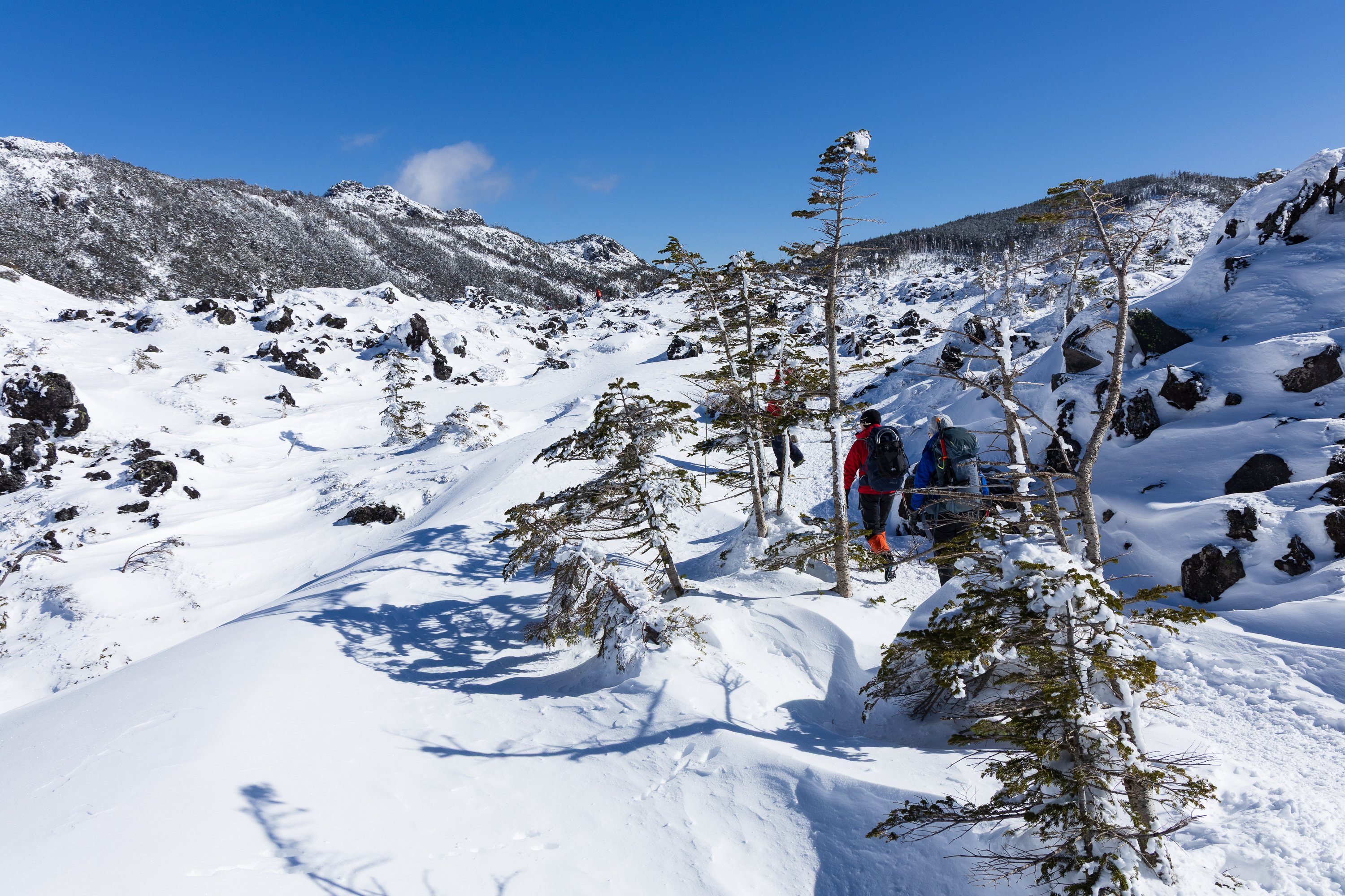 冬の北八ヶ岳、白銀のスノーハイク｜yamadagawa