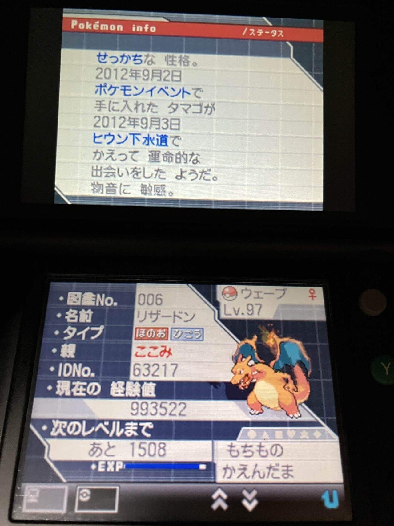 自己受け取り6世代えいがかん配布　ポケットモンスターX 自己受け取り6世代えいがかん配布 ポケットモンスターX 自己