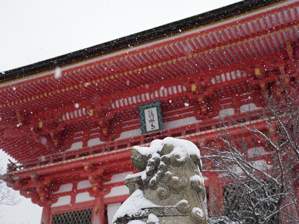 大雪の日に清水寺へ：雪化粧の古都を巡る｜GO-KYOTO 編集部員