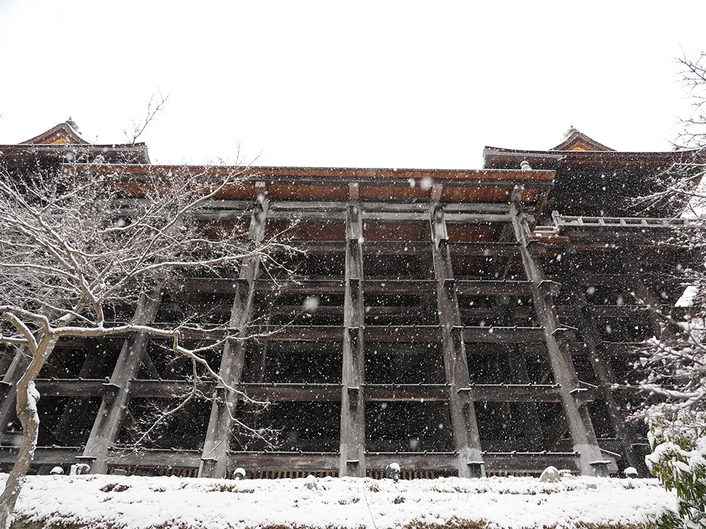 大雪の日に清水寺へ：雪化粧の古都を巡る｜GO-KYOTO 編集部員