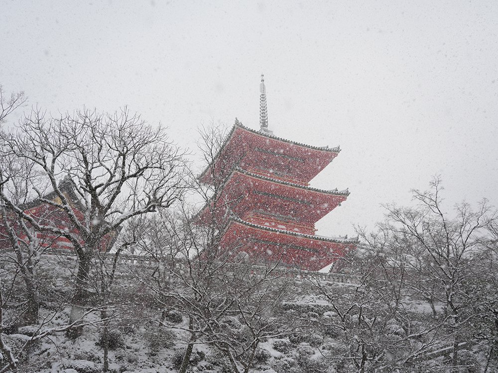 大雪の日に清水寺へ：雪化粧の古都を巡る｜GO-KYOTO 編集部員