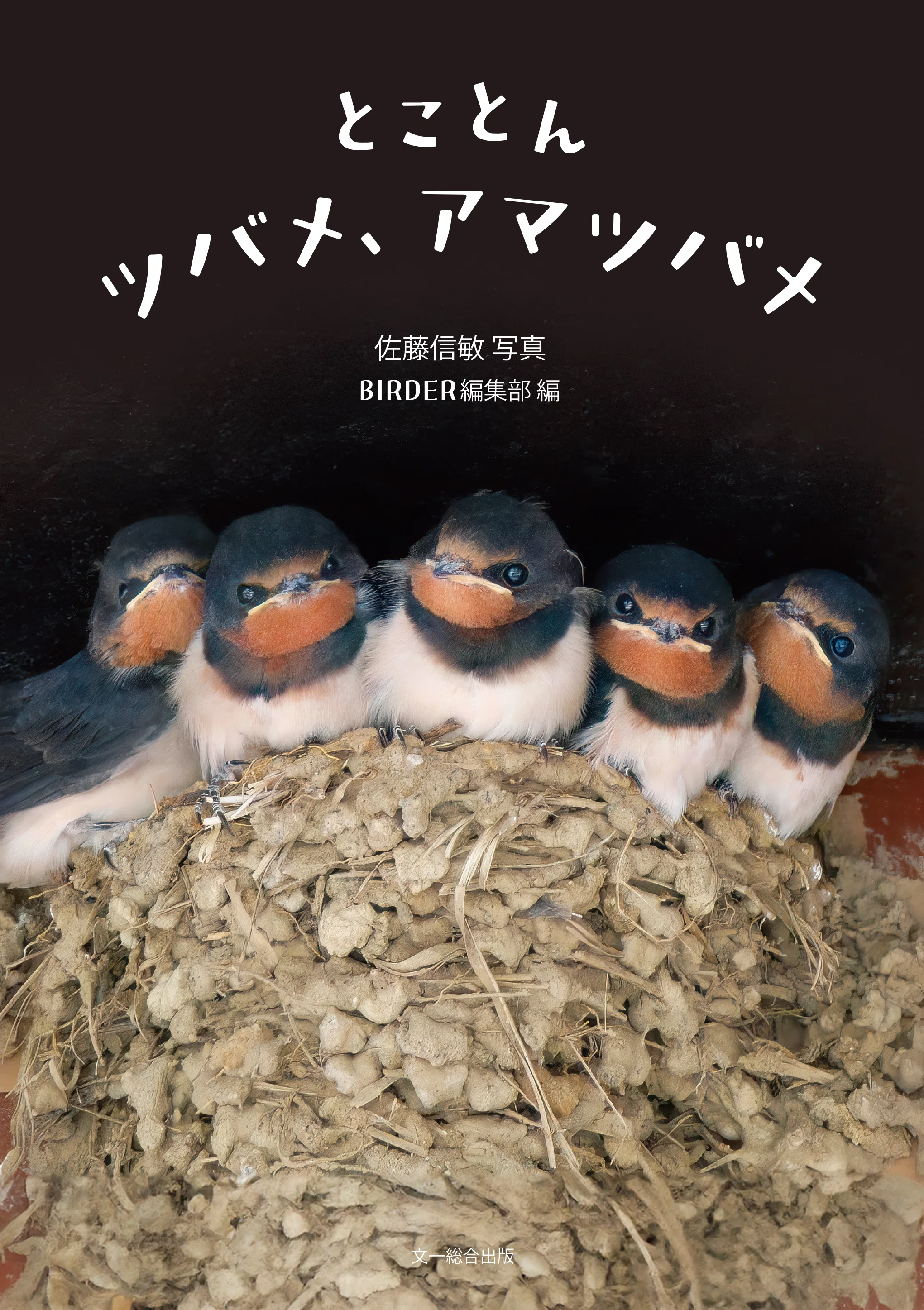 意外に知らないツバメの魅力を楽しむ｜ブンイチ（文一総合出版）